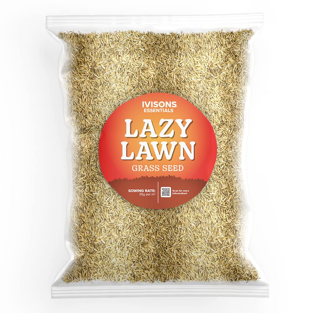 Buy 1 KG Lazy Lawn Grass Seed Very Low Maintenance & Lower Waste Choice
