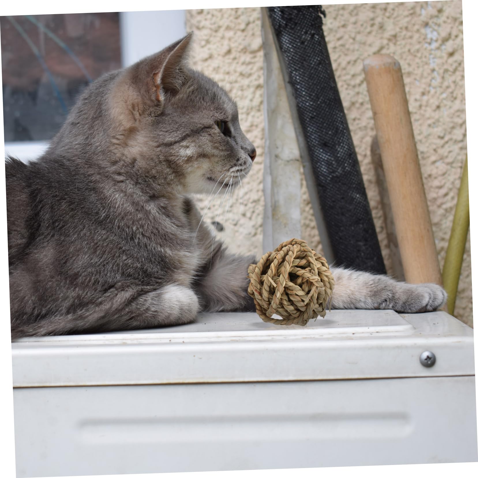 SUPVOX 9pezzi Palline Rattan Per Domestici Giocattoli Masticabili Per Conigli Porcellini e Piccole Creature Sicuri e Completamente e La Masticazione