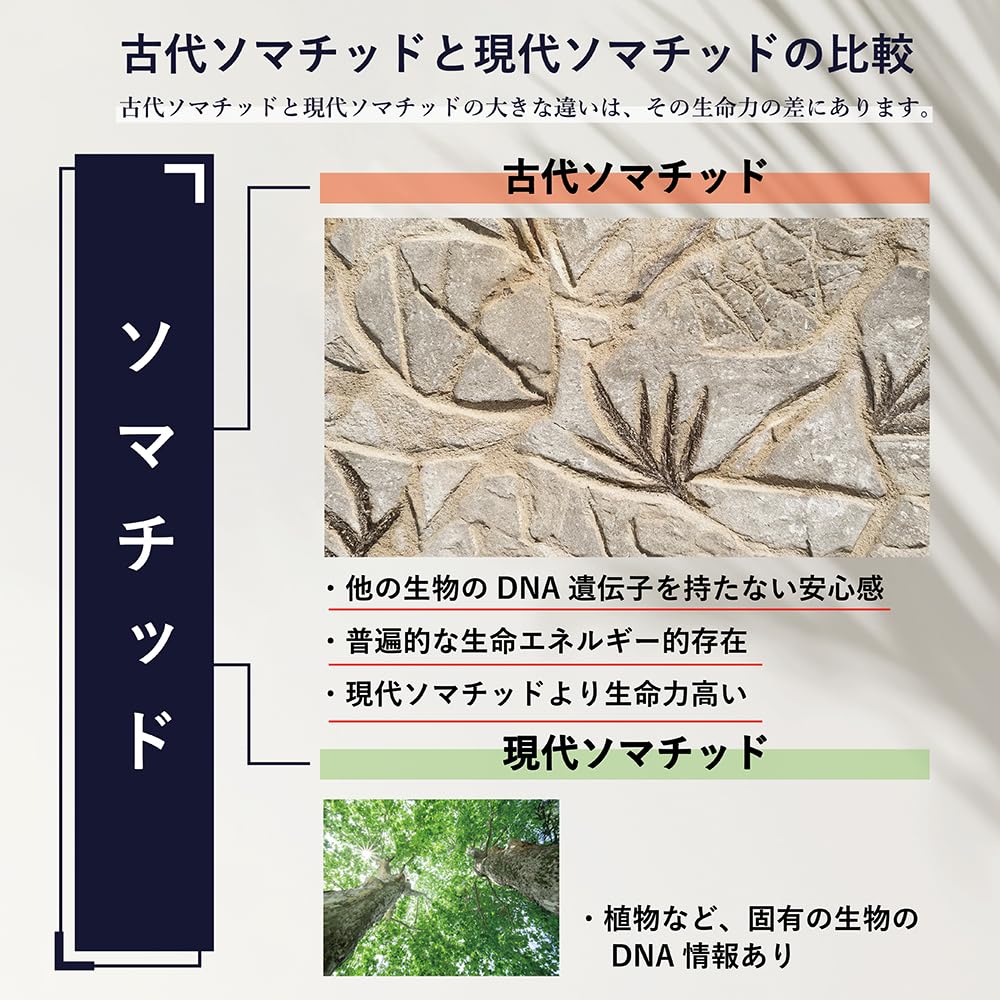 Amazon | ソマチッド濃縮エッセンス SOMAFI「ソマフフィー NEO」 30ml