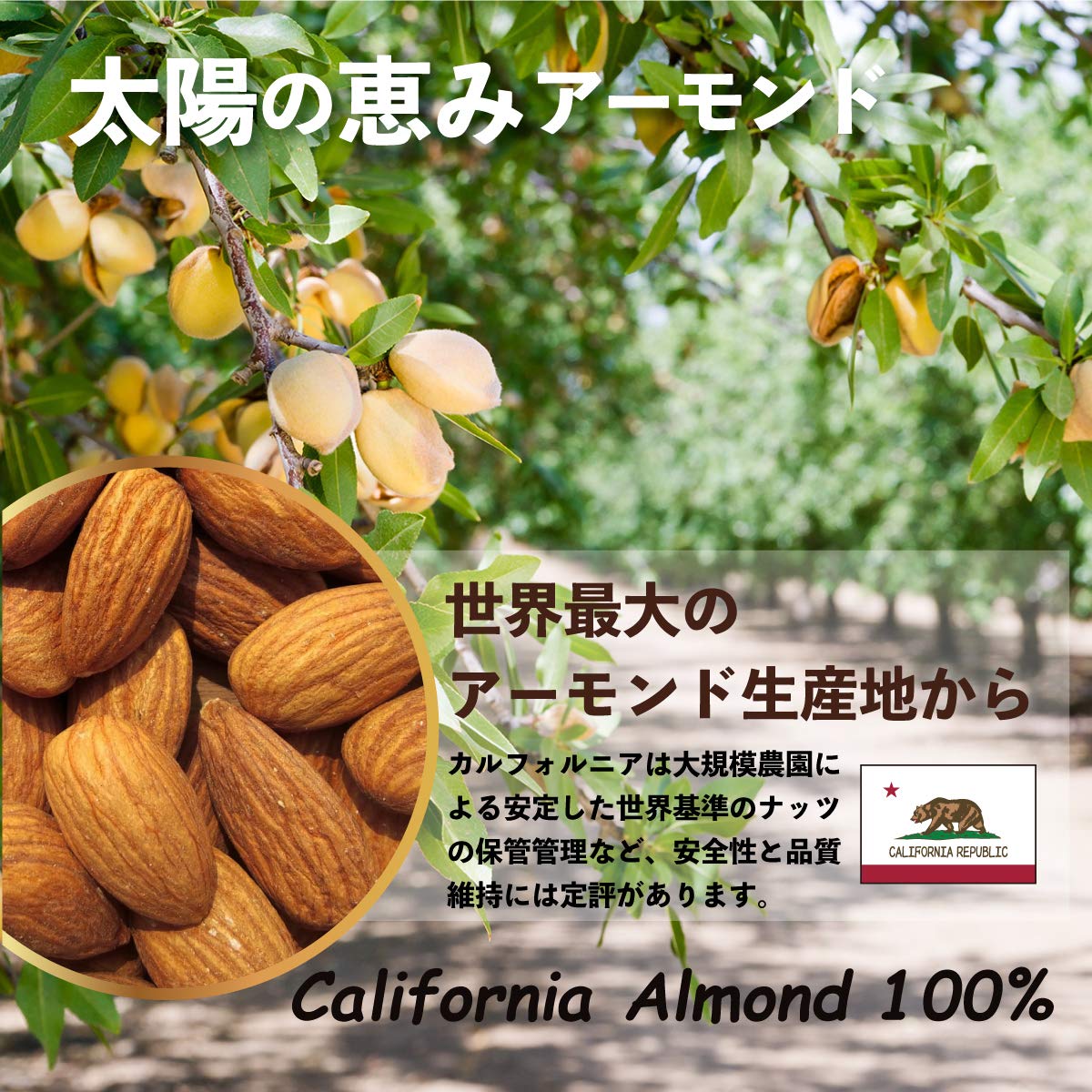 Amazon.co.jp: アーモンドプードル 1袋 200g : 食品・飲料・お酒