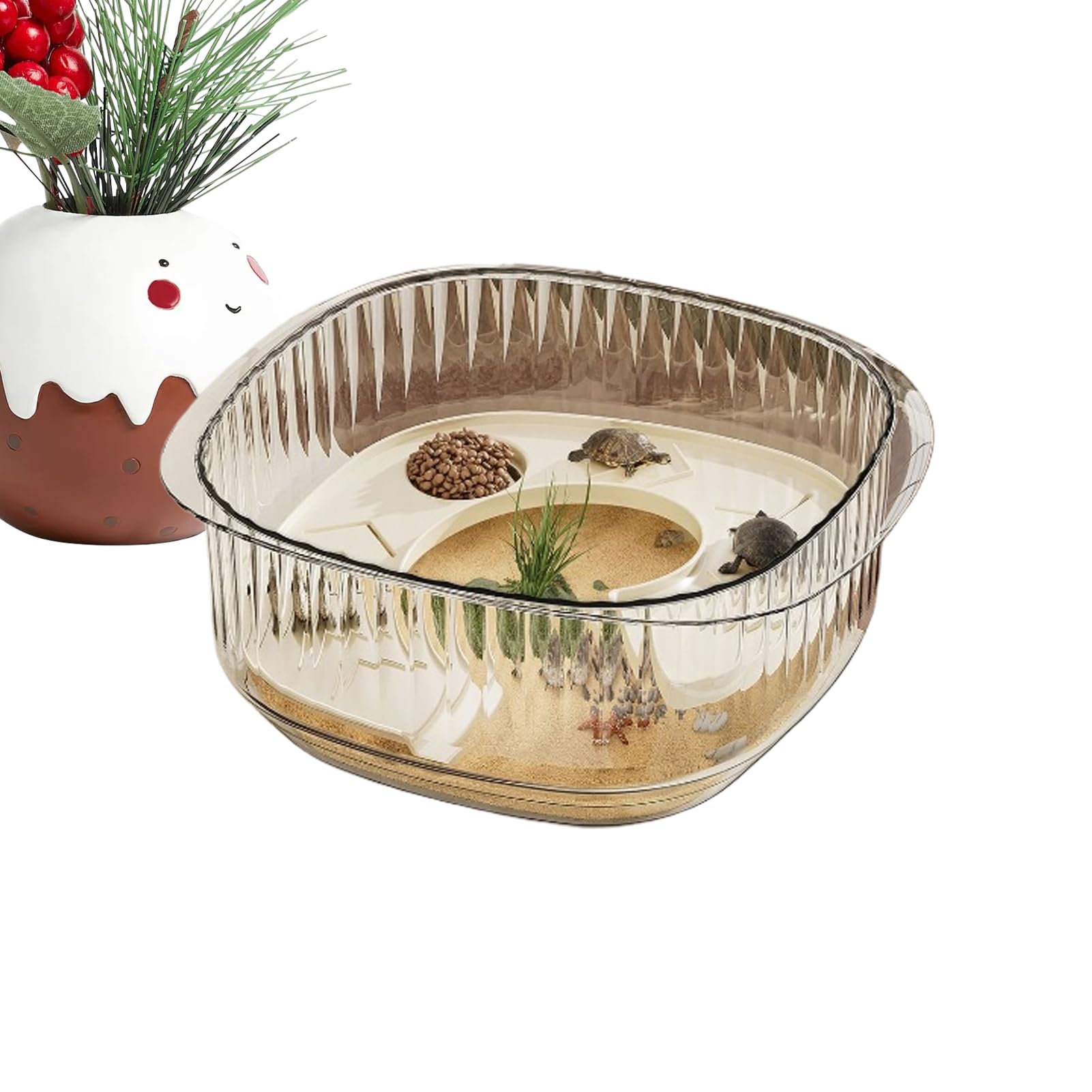 Terrarium pour crabes et crevettes idéal pour salon et bureau