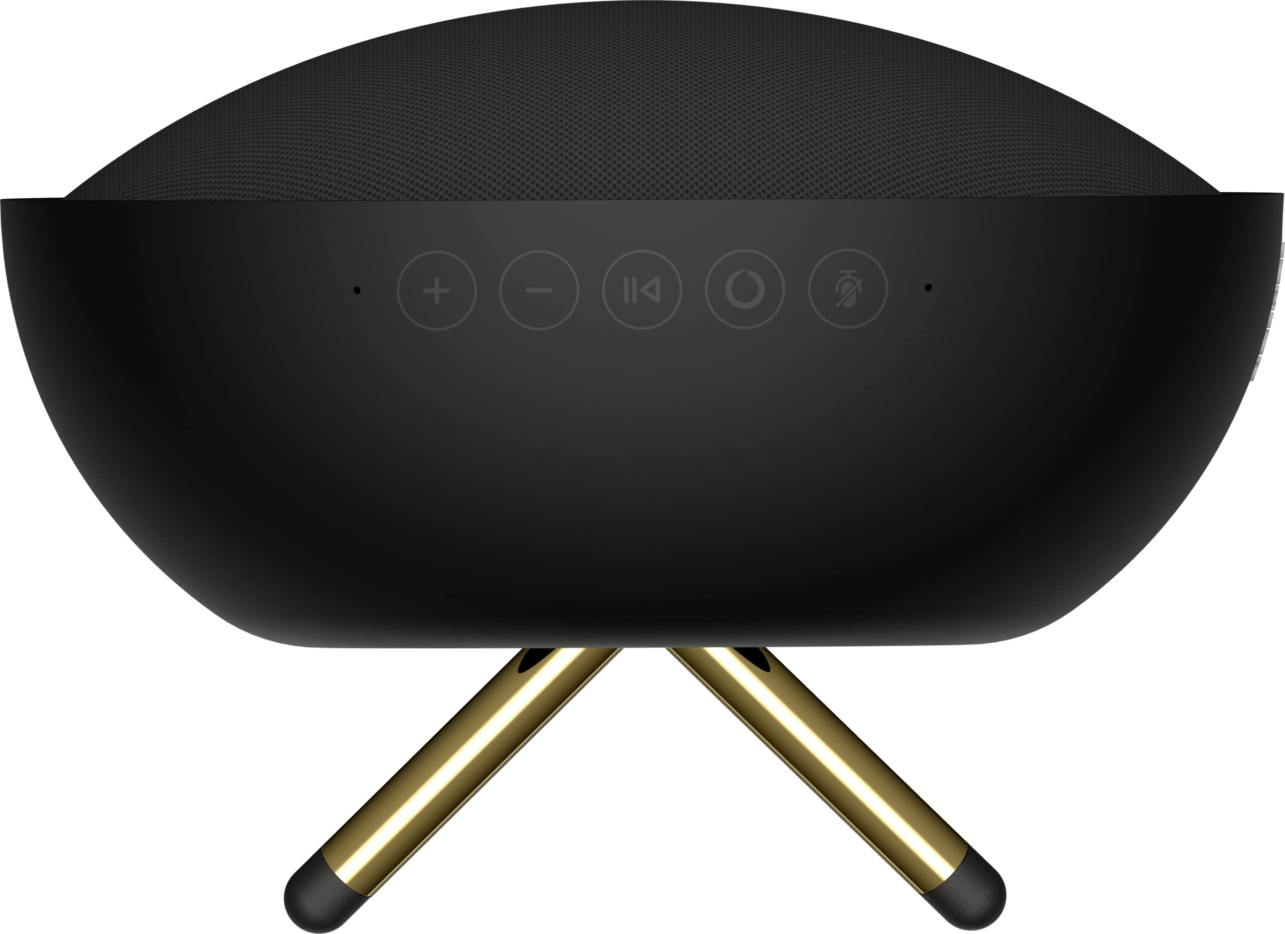 Defunc Haut-Parleur Intelligent Multiroom Home 100W - Enceinte Bluetooth 5.0 Compatible avec Alexa et Airplay2, Son Puissant et de Haute Qualité, Support Mural ou de Sol, Noir