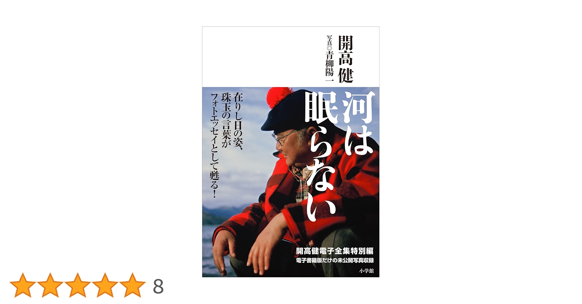 Amazon.co.jp: 開高 健 電子全集 特別編 河は眠らない eBook