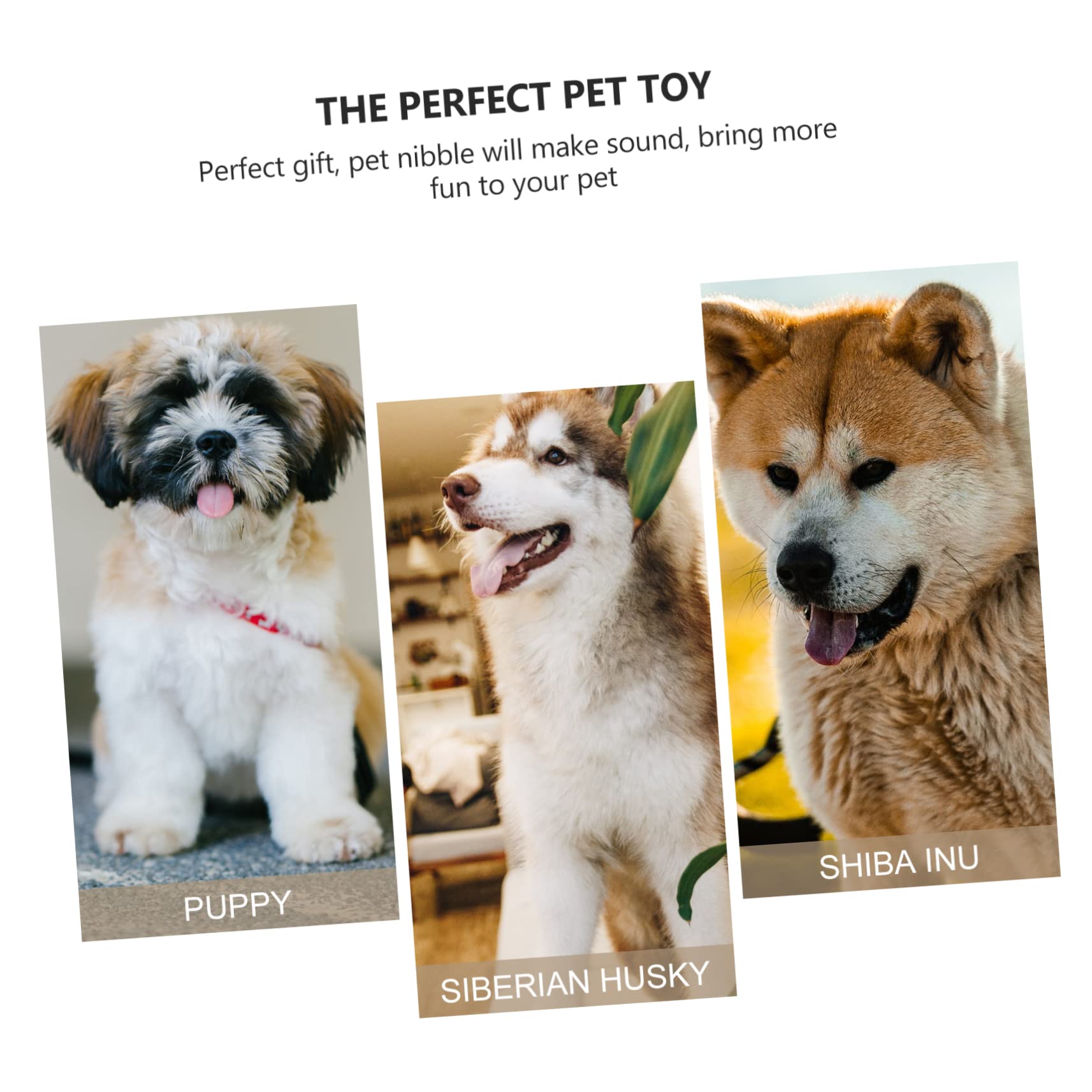 Jouet en Peluche pour Chien à Couinement, Lot de 4, Formes Animaux