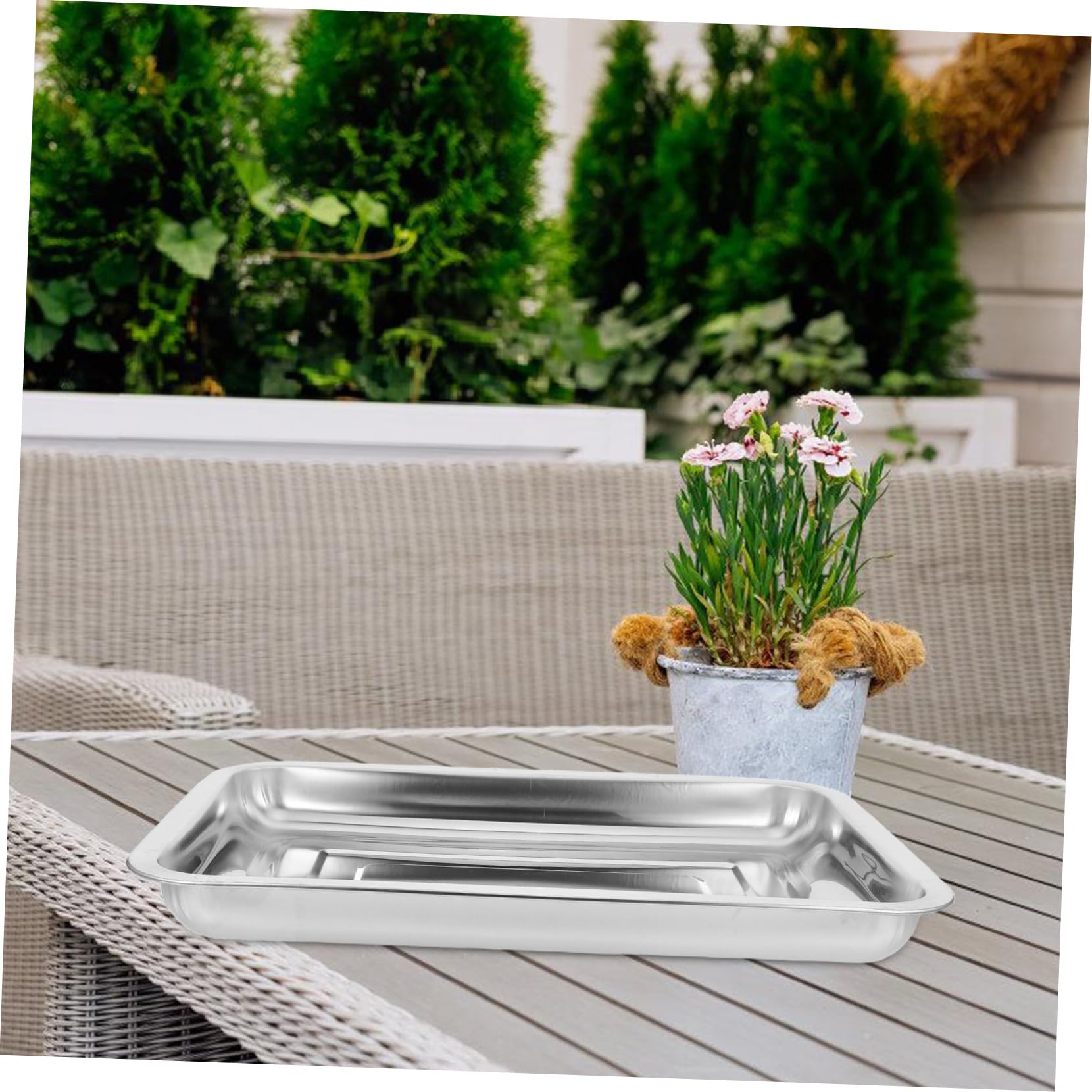 Vassoio per Germinazione Semi in Acciaio Inox, Set 4 Pezzi Argento