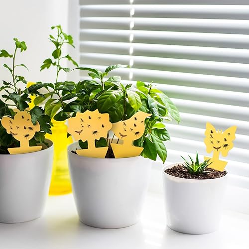 Miniatura 5 de Trampas adhesivas para moscas de la fruta, trampas para mosquitos y hongos, matan insectos para interiores y exteriores, para plantas de cocina,