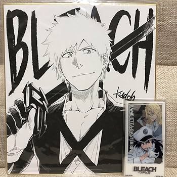 (お値下げ◯) bleach サイン色紙 BLEACH サイン色紙 森田成一 置鮎龍太郎 田野アサミ 山田唯菜 - メルカリ