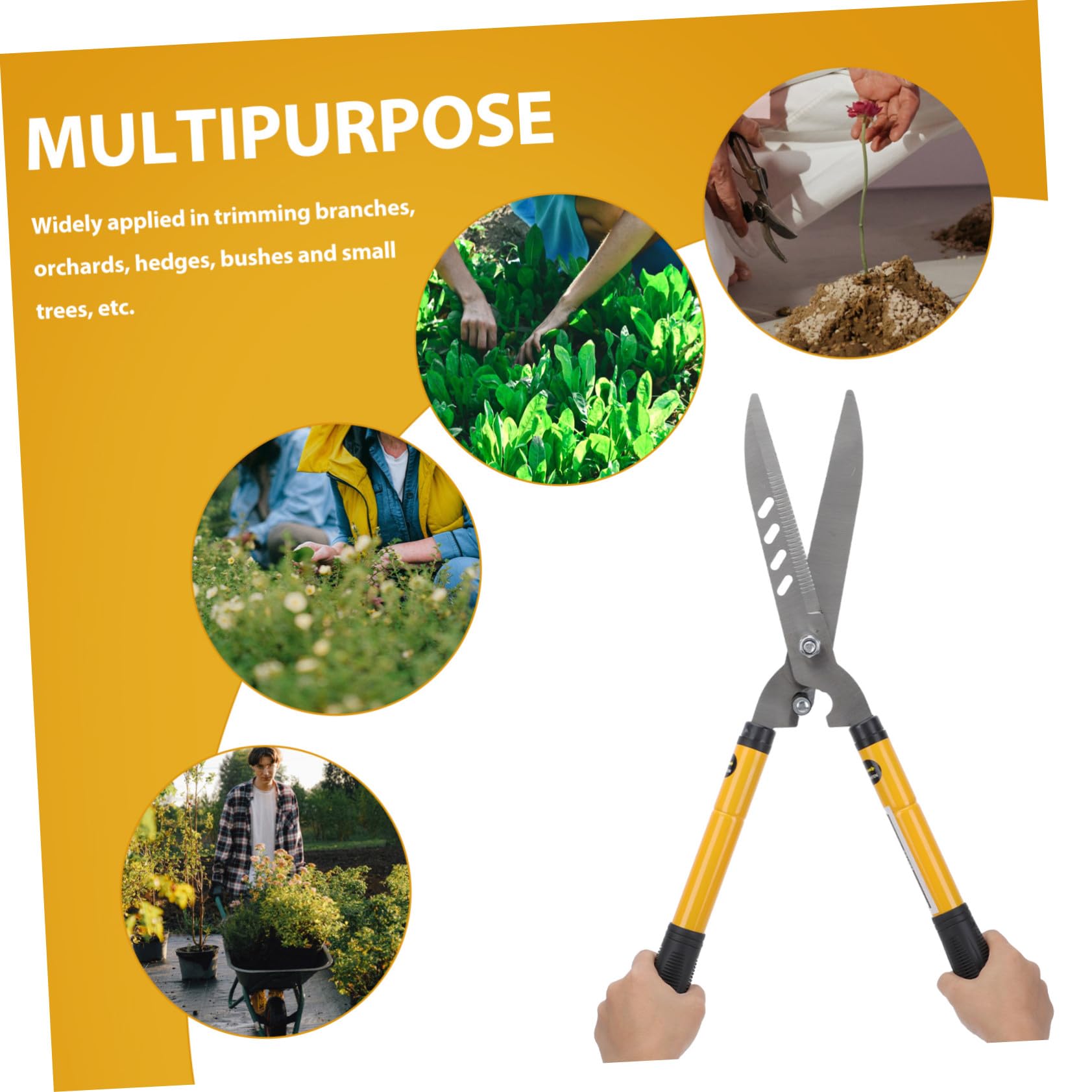 jojofuny Sécateur De Jardinage Fruitier à Lame en Acier Solide, Cisaille Horticole Télescopique Légère pour Taille D’Arbres Et Haies, Outil Manuel Ergonomique Antidérapant pour Jardin Et Verger