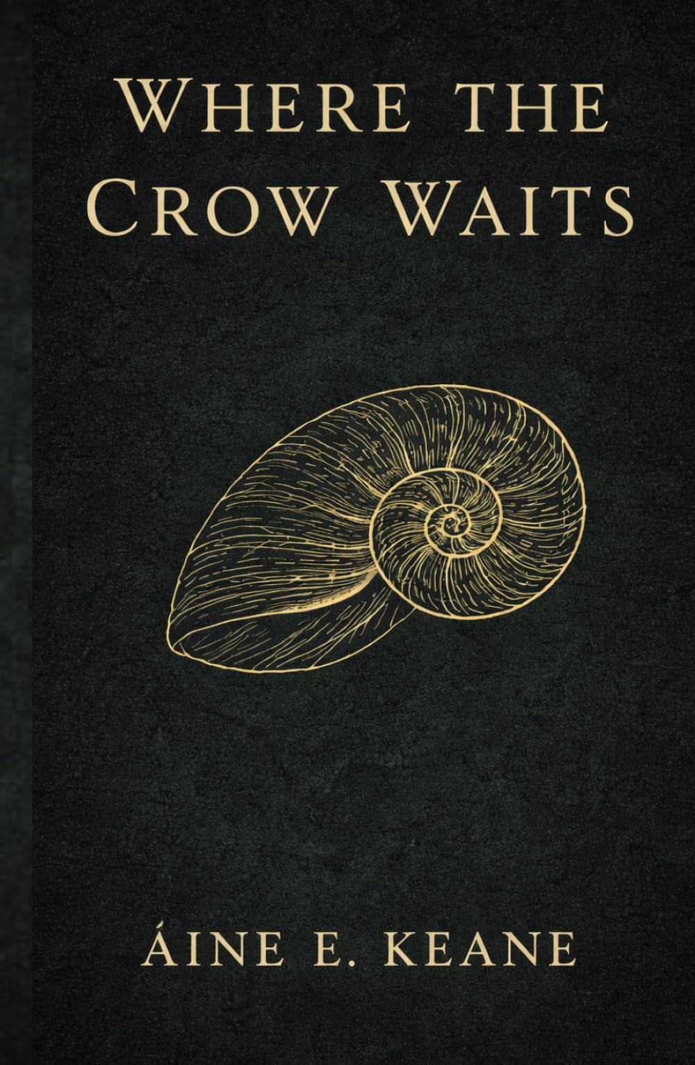 The Crow Waits: A Novel of Land, Memory, and Reckoning (The Land Remembers Trilogy)
