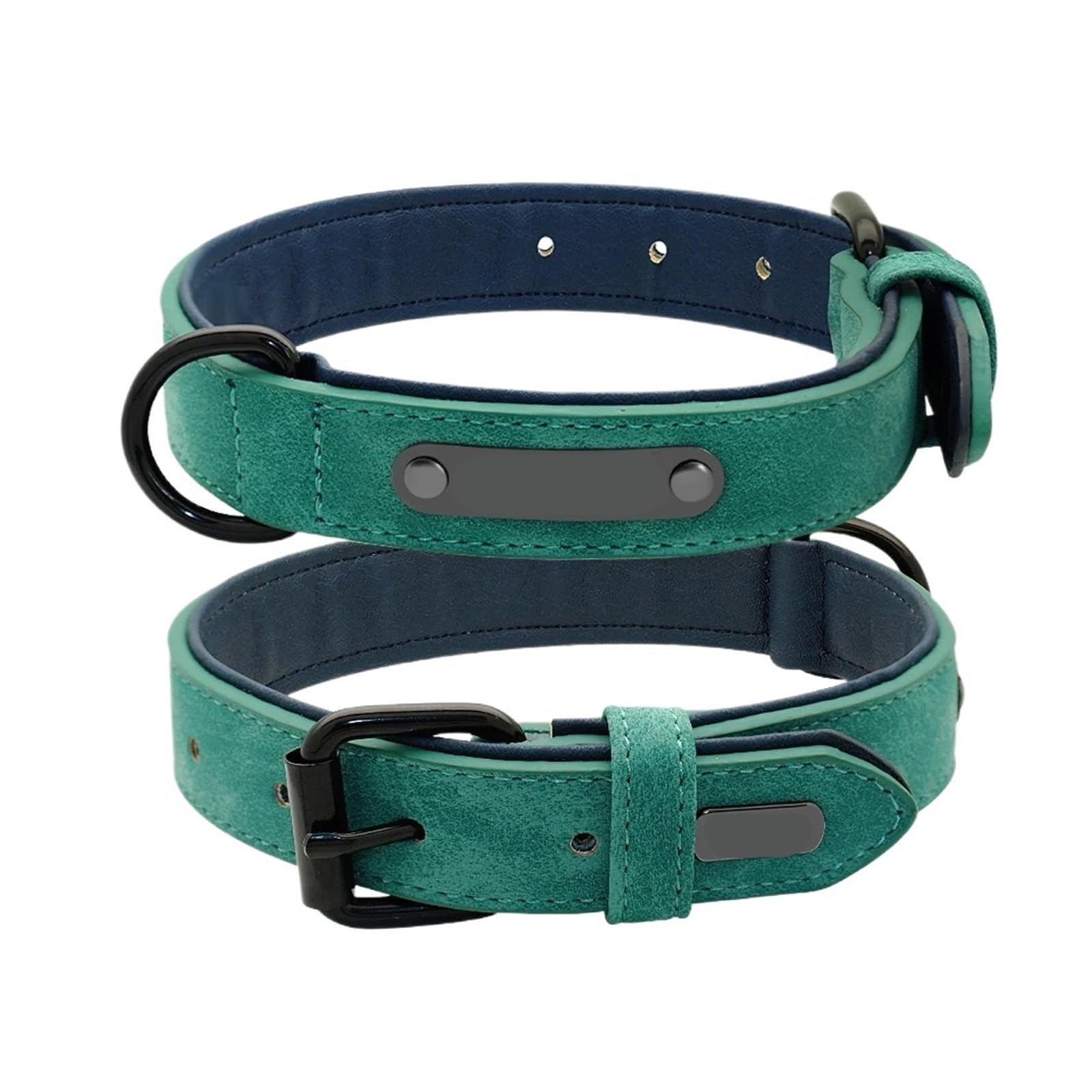 Collier de chien avec laisse pour des balades sereines au parc en taille M