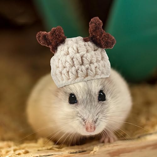 Miniatura 6 de Kajaia 10 sombreros de hámster de animales pequeños, pequeños sombreros de punto a mano para serpientes, mascotas, dragón barbudo, conejillo de