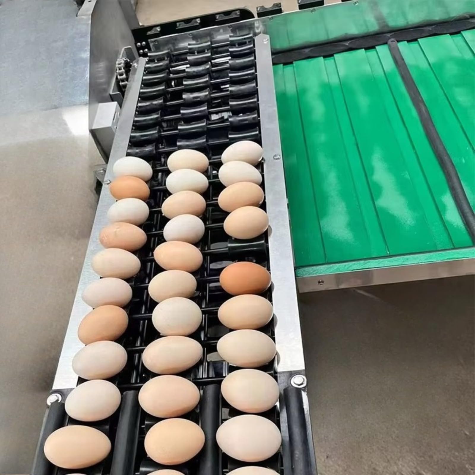 Macchina automatica per la classificazione delle uova con ispezione