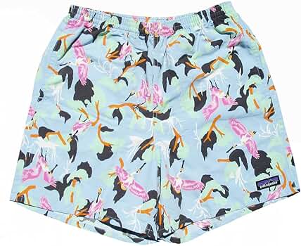 パタゴニア Baggies Short バギーズ・ショーツ5インチ　SPCL patagonia [25SS新作追加] 新品 パタゴニア Patagonia M's