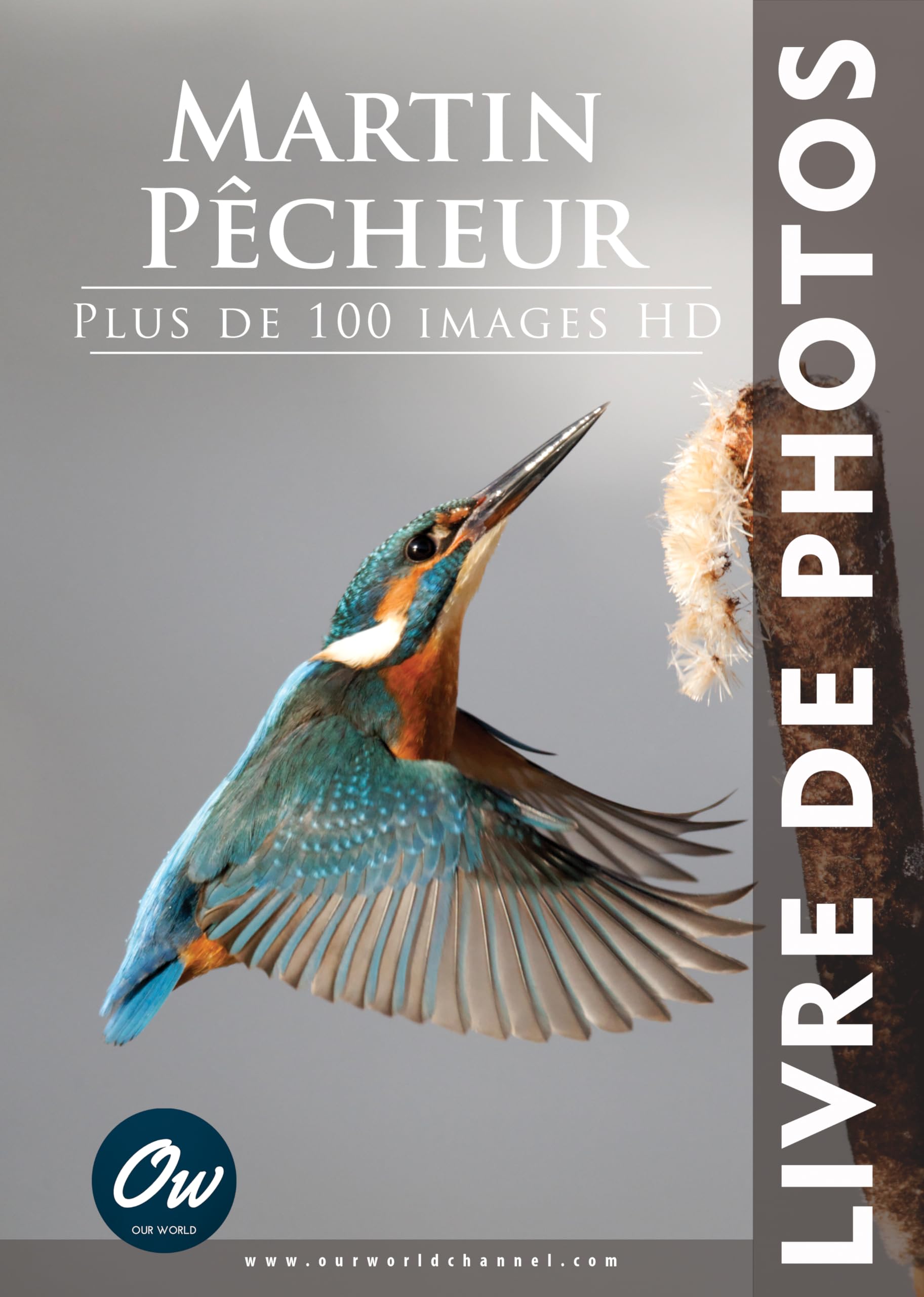 Livre de photos Martin-pêcheur idéal pour décorer votre salon nature
