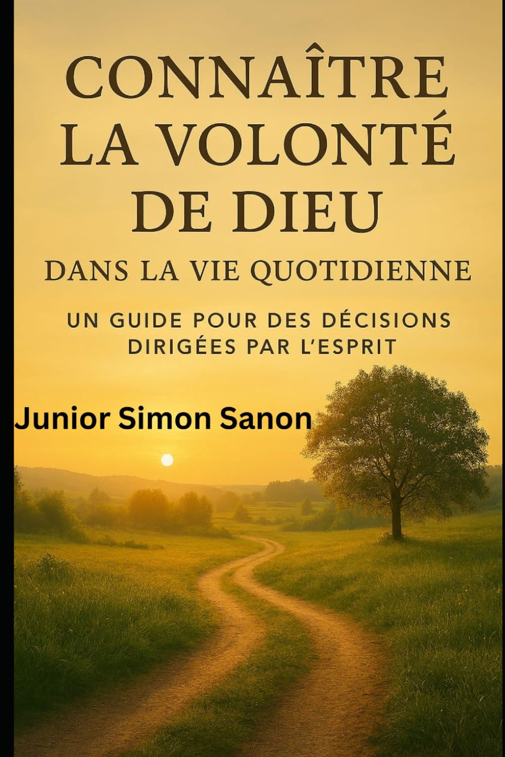 Connaître la Volonté de Dieu dans la Vie de Tous les Jours: Un Guide pour des Décisions Inspirées par l’Esprit