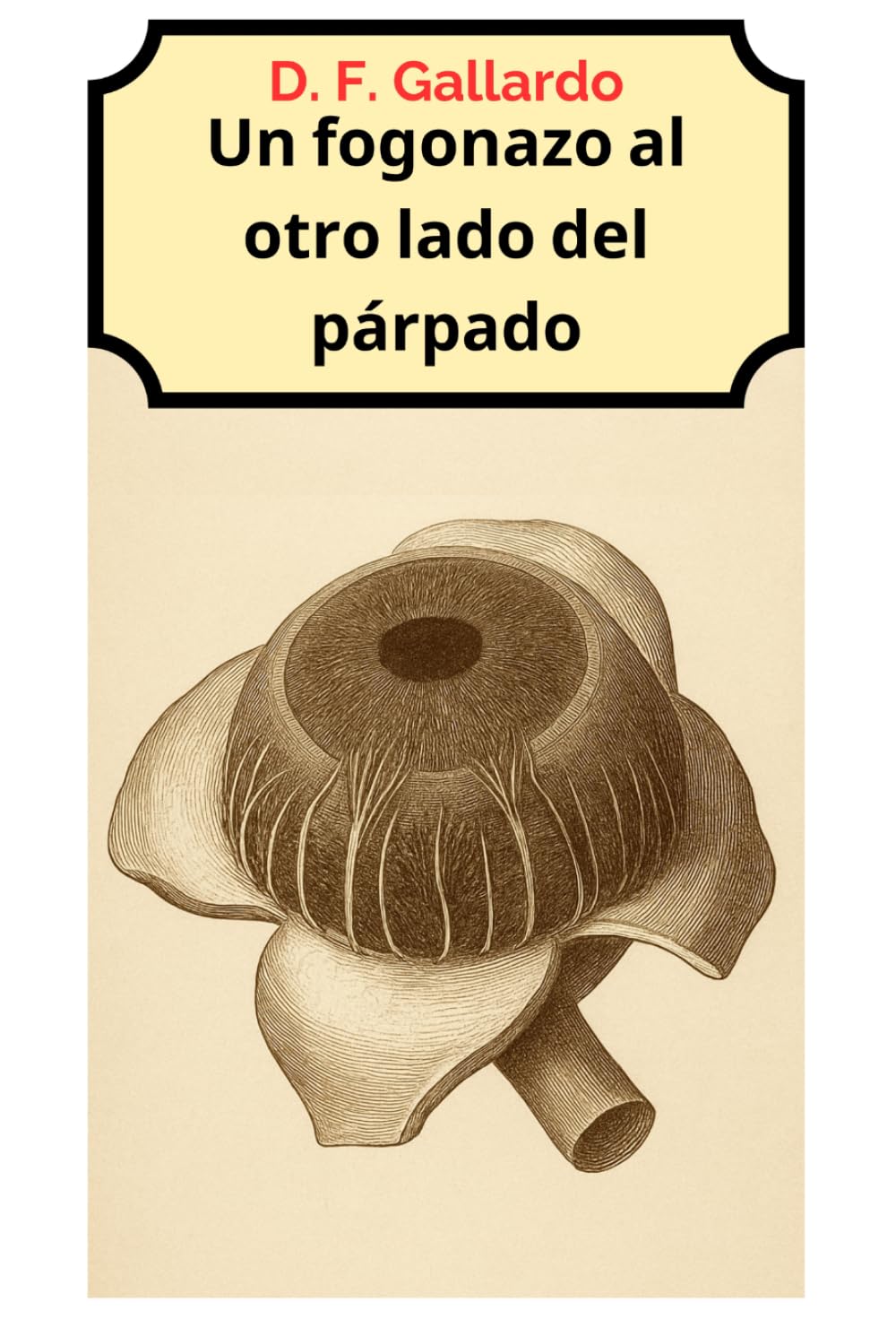 Un fogonazo al otro lado del párpado