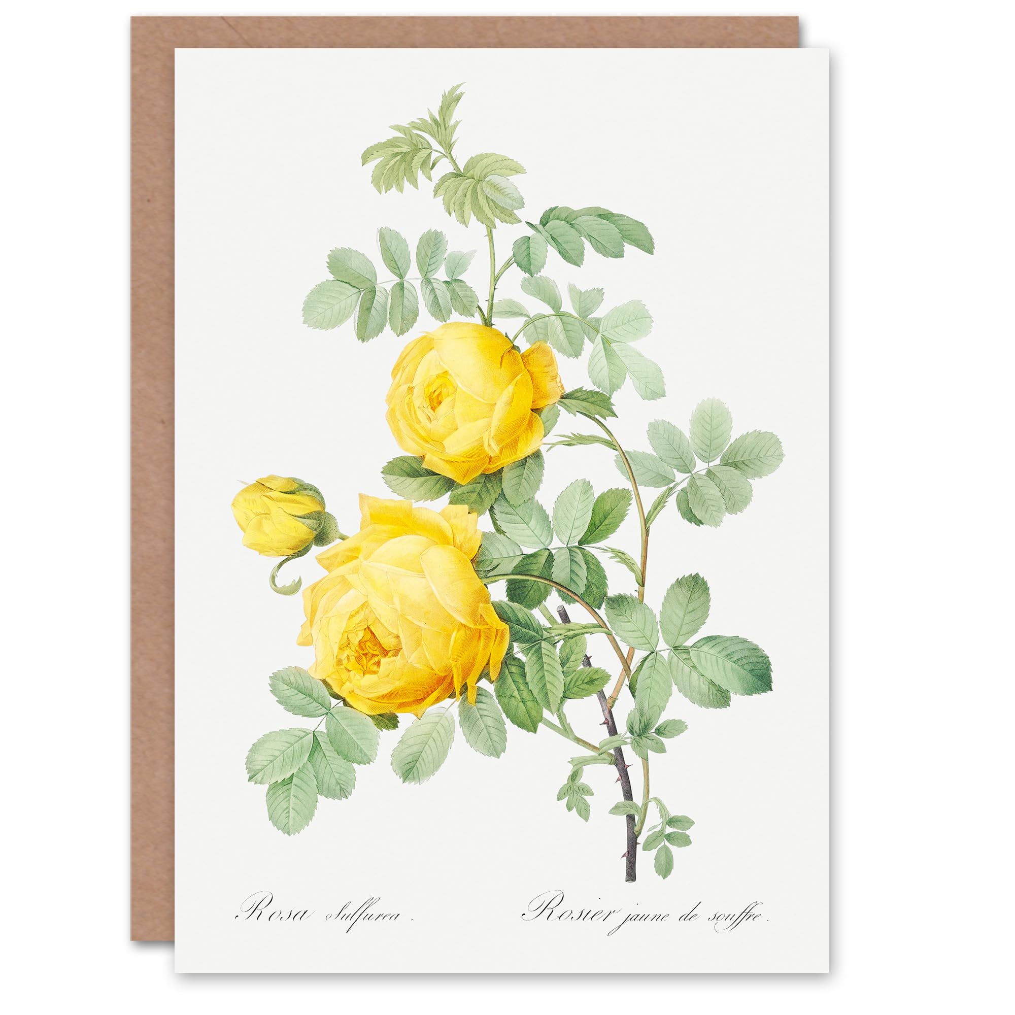 Artery8 Pierre-Joseph Redouté Art Card Yellow Rose Vintage Botanical