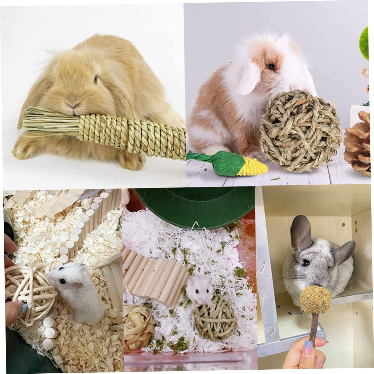 BESPORTBLE 36piezas Juguetes para Roedores y Conejos Accesorios para Juguetes para Hámsters y Cobayas Estimulación y Salud