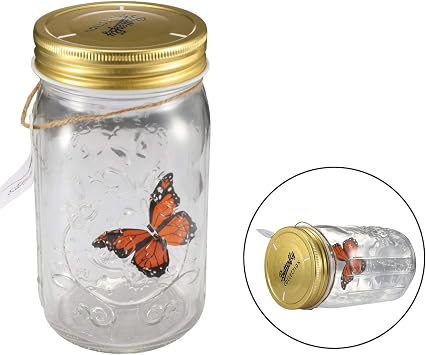 Butterfly in a Jar, Airlxf Glass Animated Butterfly In A Jar With LED Light Gift Decoration Orange