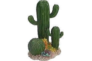 Exquisite Succulents Cactus Fish Tank Decorations