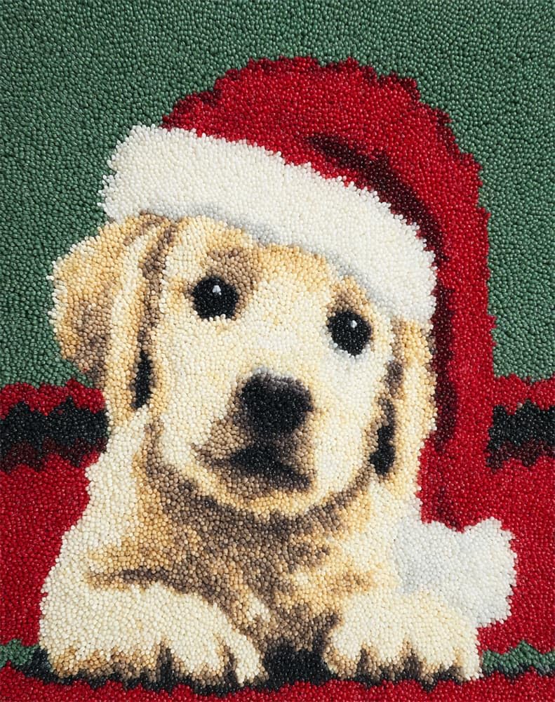 Kitquiver DIY Latch Hook Rug,Christmas Puppy,Crochet Kits Embroidery Kits Home Carpet Rug Making Canvas,Needlework Crafts for Home Decor 15X20In