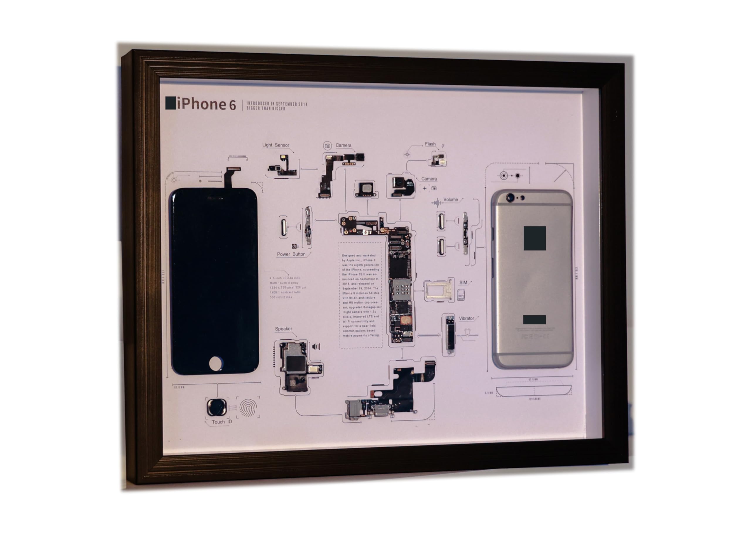 Amazon.com: Disassembled iPhone 6 Art With Frame, Disassemble Art