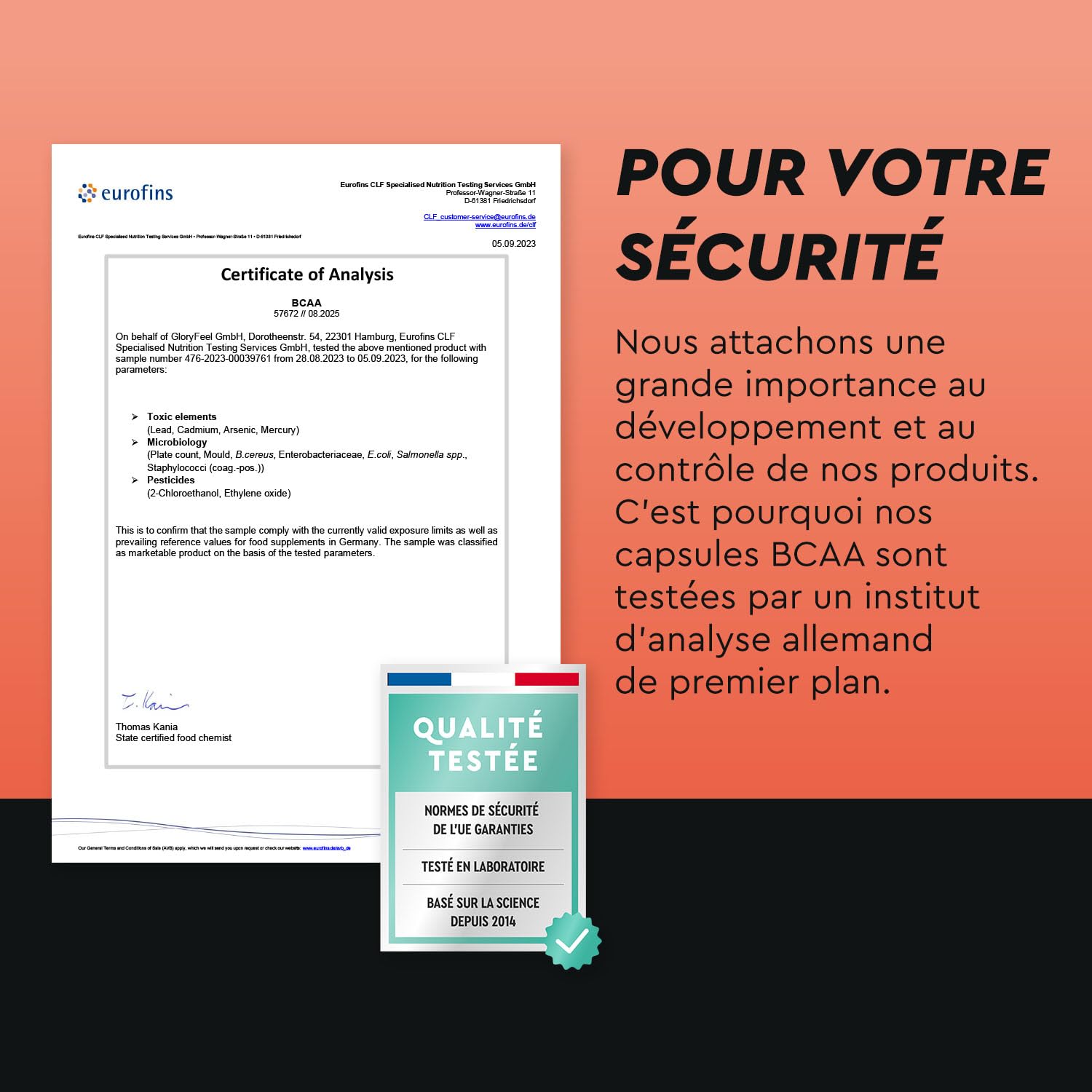 BCAA (330 Capsules), Acides Aminés Essentiels Fortement Dosée, Contient Leucine, Valine et Isoleucine avec Vitamine B6, Hautement Biodisponible, Contre la Fatigue*, Sans Arômes et Additifs