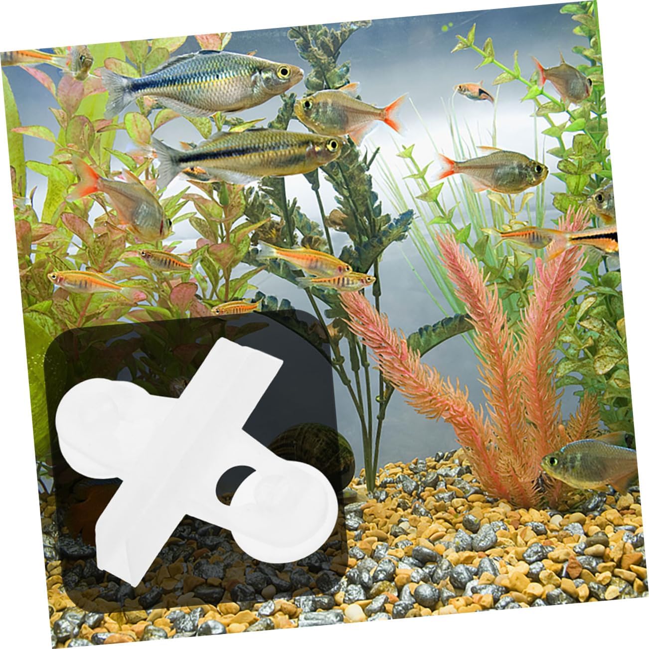 Toyvian 20pcs Aquarium Cup Clips for Fish Isolation Divider Support Clips for Securing Dividers and Aquatic Plants Versatile Tank Accessories