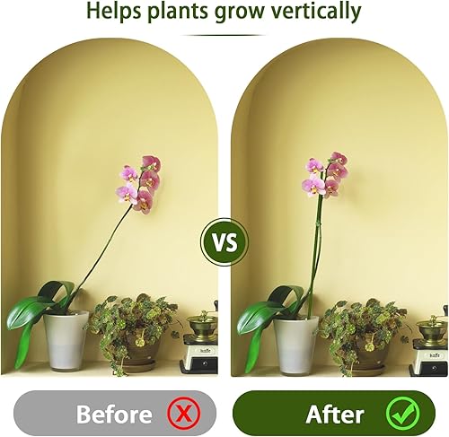 Miniatura 4 de LECAMEBOR - Estacas para plantas, 20 estacas flexibles para orquídeas de un solo tallo para plantas de interior y exterior, plantas en maceta,