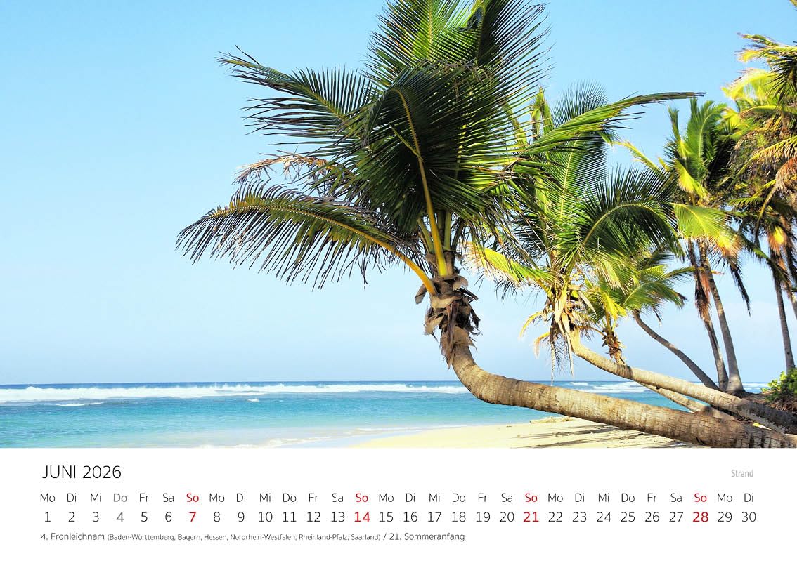 Edition Seidel Premium Kalender Kuba 2026 Format DIN A4 Wandkalender Südamerika Mittelamerika Amerika Havanna Capitol Oldtimer