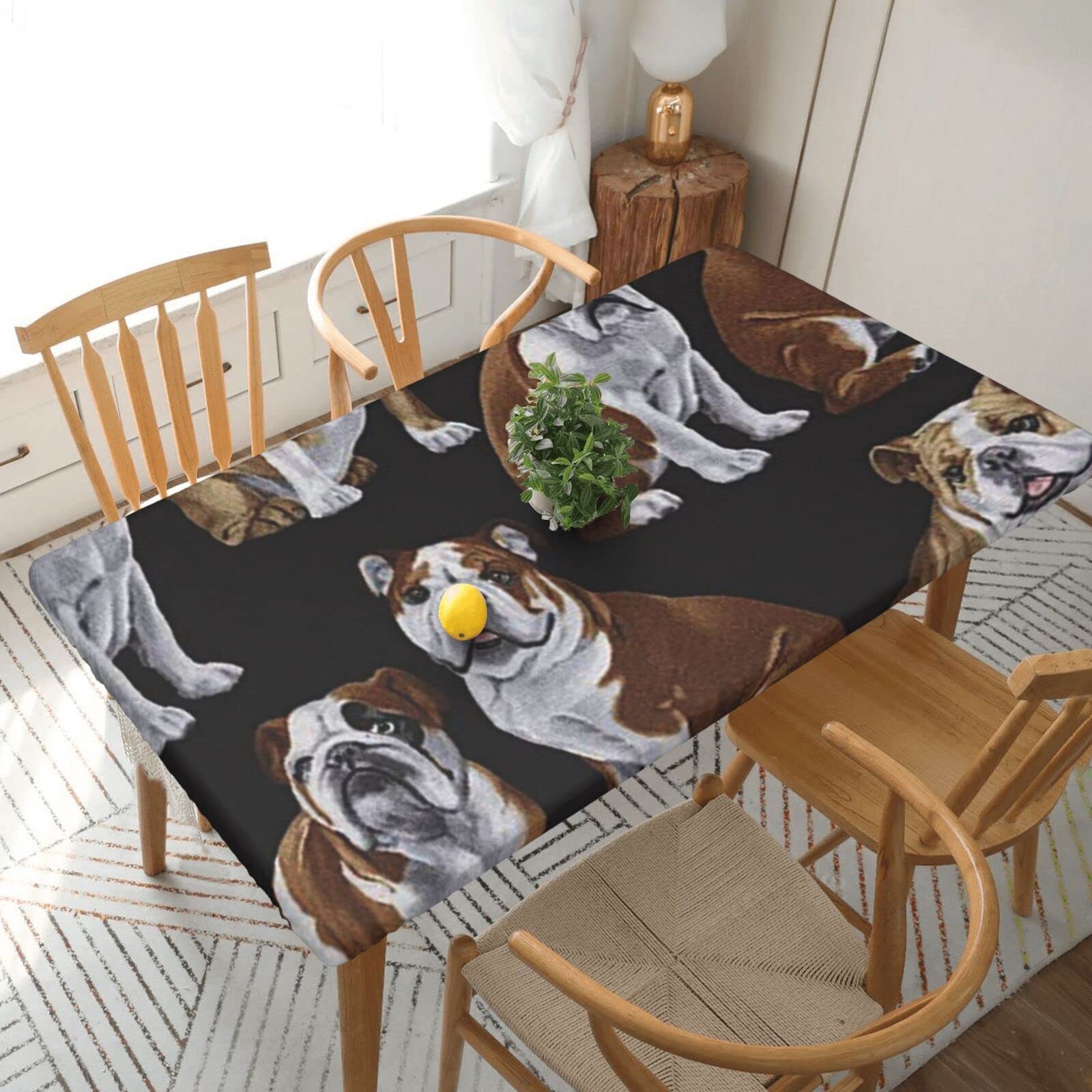 Rectangle Tablecloth 152x76cm For 5ft Dining Table Protector - English Bulldogs Printed Elastic Edged Table Cover Wrinkle Free Table Decoration Table Cloth