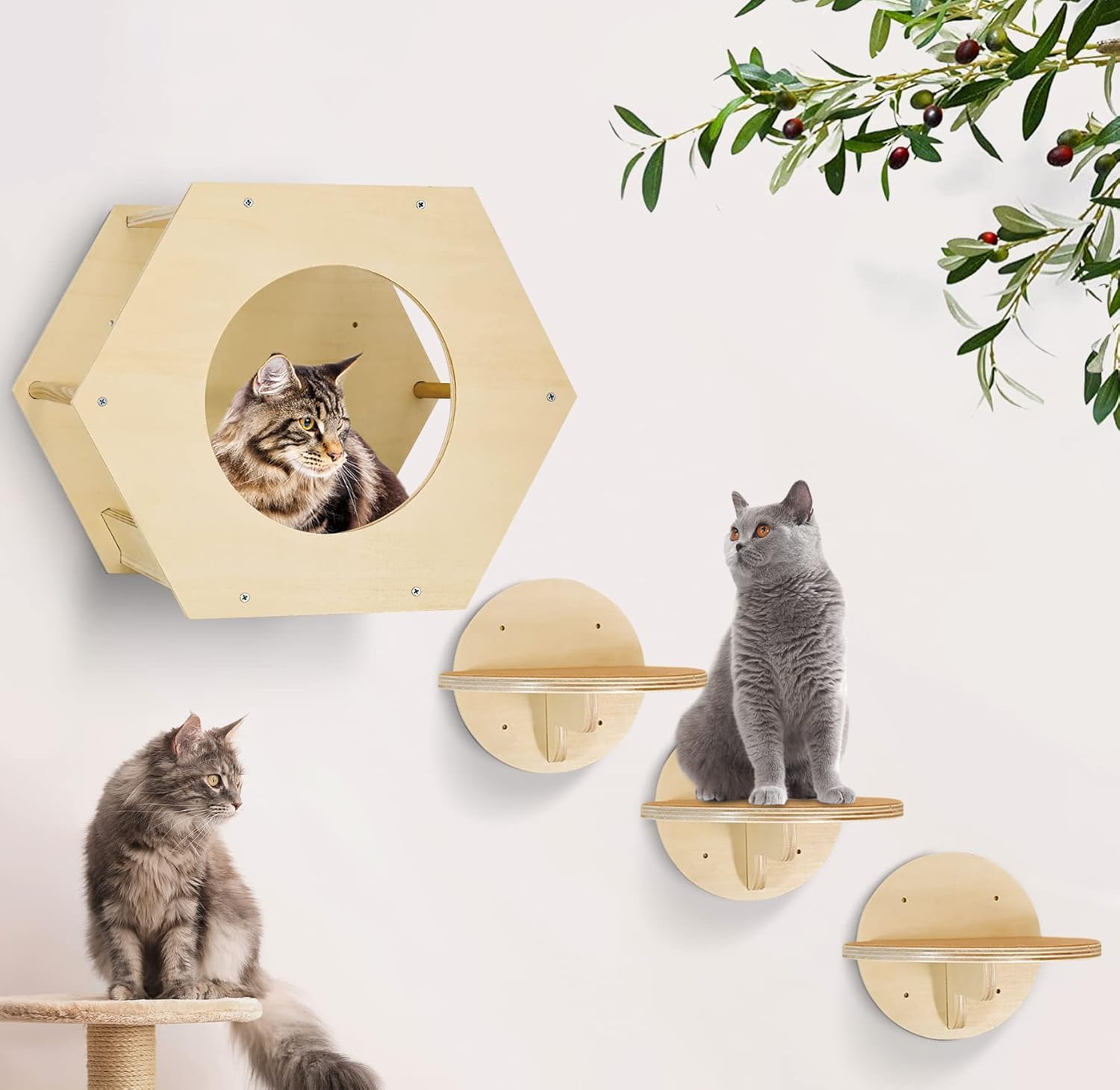 ZiproFly Cat Wall Furniture, Cat Wall Shelves Fit Cat Up