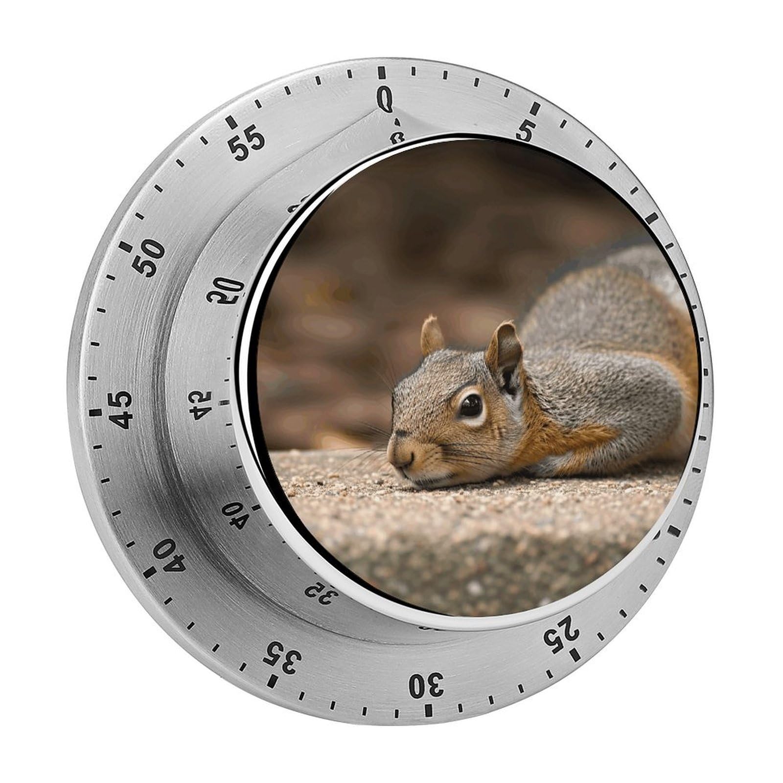 Adfgyerh Style Squirrel Just Laying Timer For Cooking, Kitchen Timer Magnetic No Batteries Required, Mechanical Timer With Loud Alarm, For Fitness Baking Exercise Oven