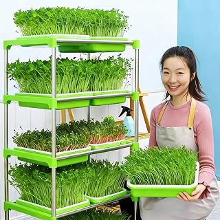 2Pack Plastic Grow Nursery Pots Vegetable Soilless Nursery Trays Germination Tray Seedling Sprout Plate Garden Supplies