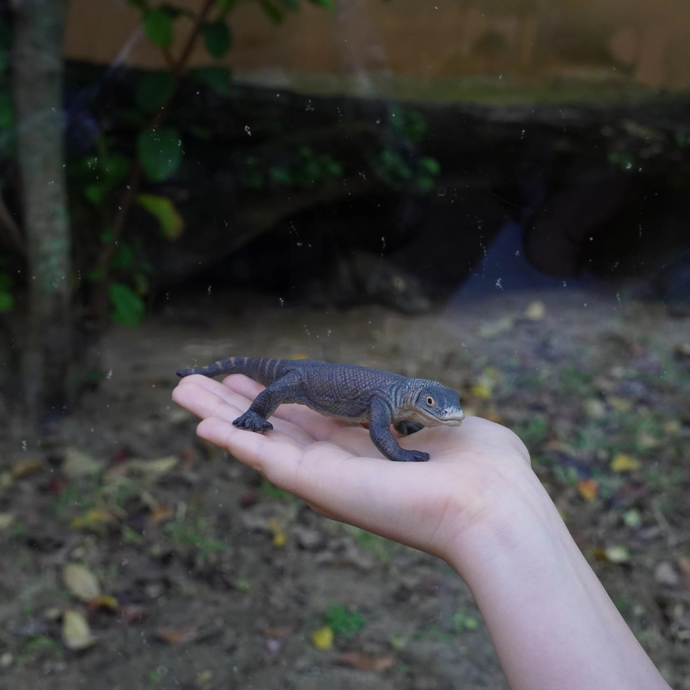 Amazon.com: Safari Ltd. Komodo Dragon Figurine - Realistic 5.5