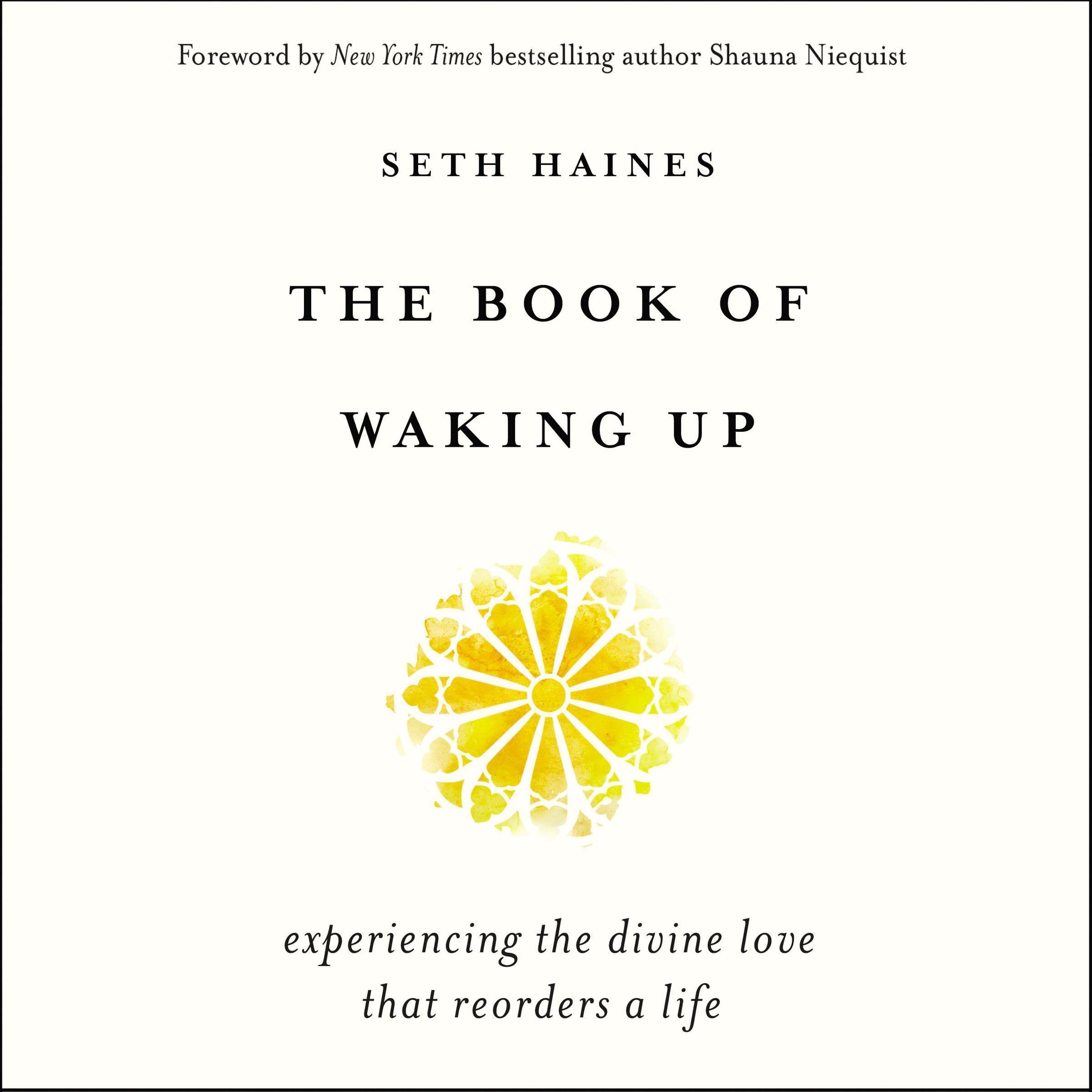 Cover art for The Book of Waking Up