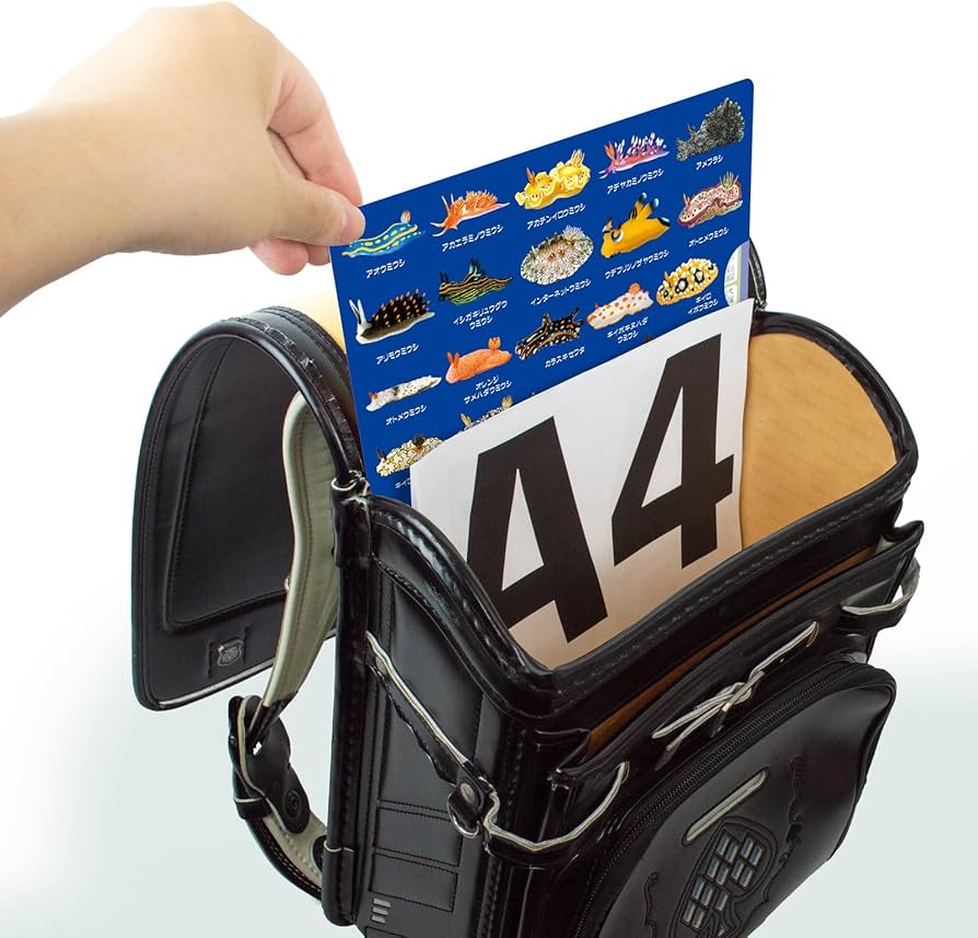 Amazon.co.jp: ザ・アクセス クリアファイル ウミウシ 大全 水族館 A4