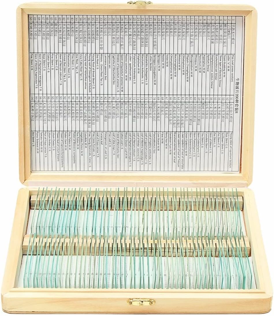 ZTBH Microscope Accessories Kit 200 PCS Prepared Biological Basic Science Microscope Glass Slides Microscope Slides