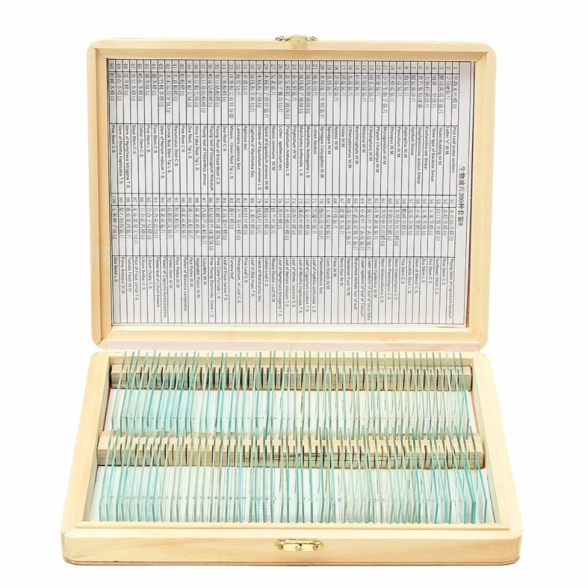 Lab Microscope Accessories 200 PCS Prepared Biological Basic Science Microscope Glass Slides