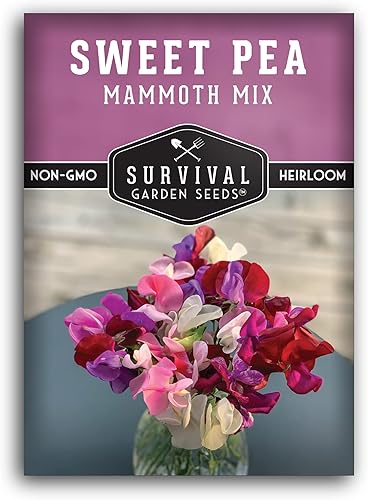 Survival Garden Seeds - Semilla de guisante dulce de mamut para plantar - Paquete con instrucciones para plantar y cultivar flores fragantes en su