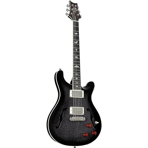 PRS Paul Reed Smith 6 String SE Hollowbody Standard Piezo Electric Guitar, Dog Hair Smokeburst, Right (111515::DH:)