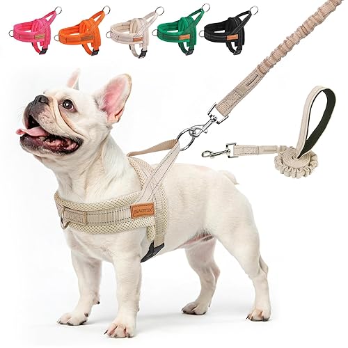 BEAUTYZOO Dog Harness No Pull, Quick Fit Dog Harness and