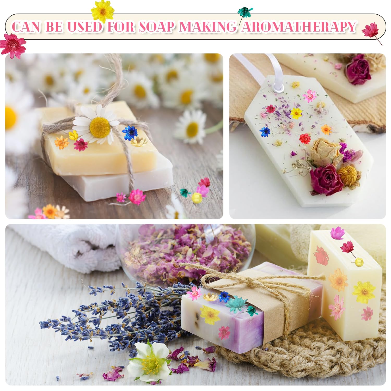 561 Fiori Secchi Per Fai Da Te - Per Resina, Candele, Sapone E Nail Art