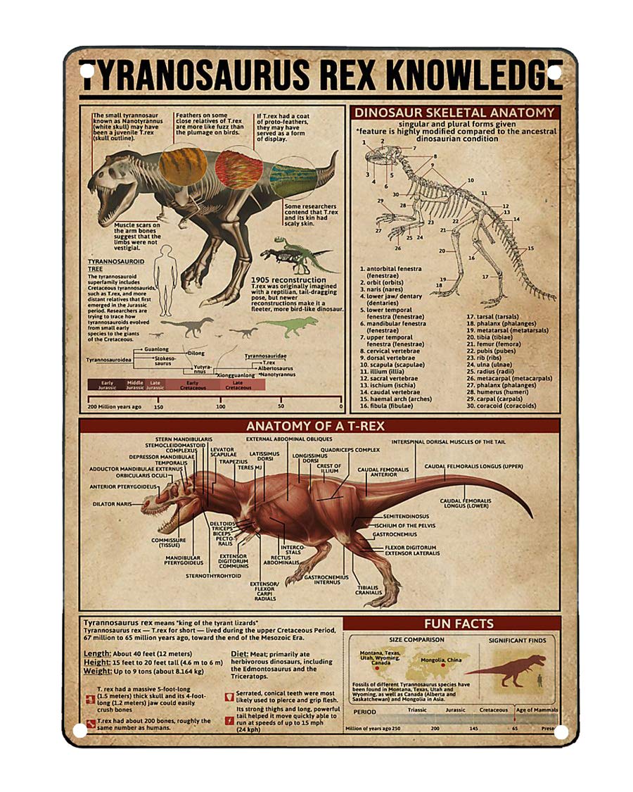 rayprint Tyrannosaurus Rex Knowledge Metal Signs Anatomy Infographic Posters Wall Decor Farm Deocr Home Decor Garage Printing Plaque 12x16 Inches
