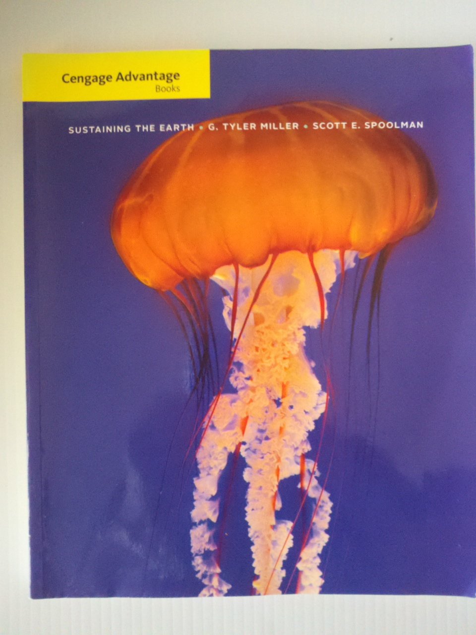 Buy Sustaining the Earth — BookShops.in