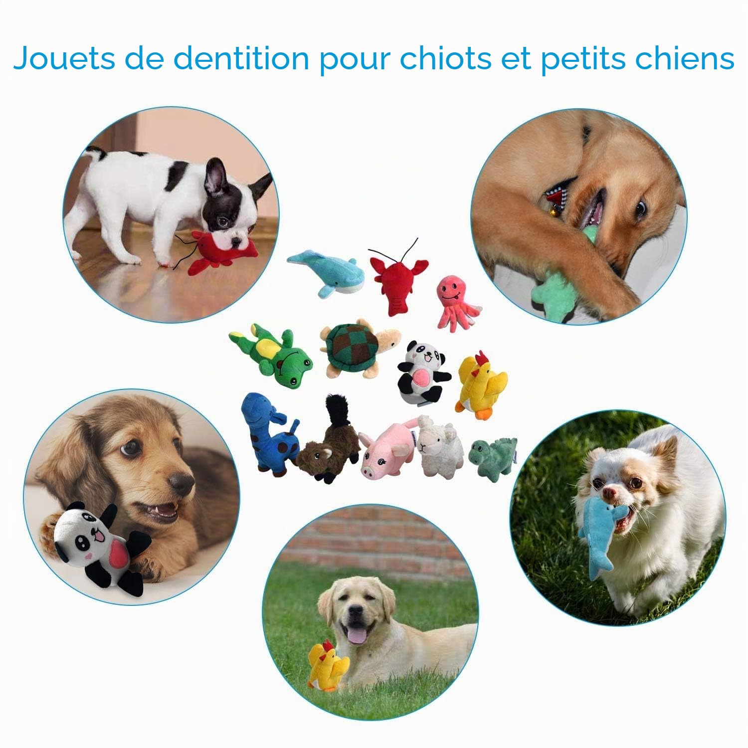 LEGEND SANDY Lot de 12 Petits Jouets couineurs en Peluche à mâcher, Mignons et Doux, pour Animaux de Compagnie, Chiots et Chiens de Petite et Moyenne Taille