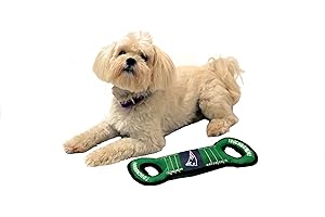 Paw Patriot Toys: Football Fun for Dogs