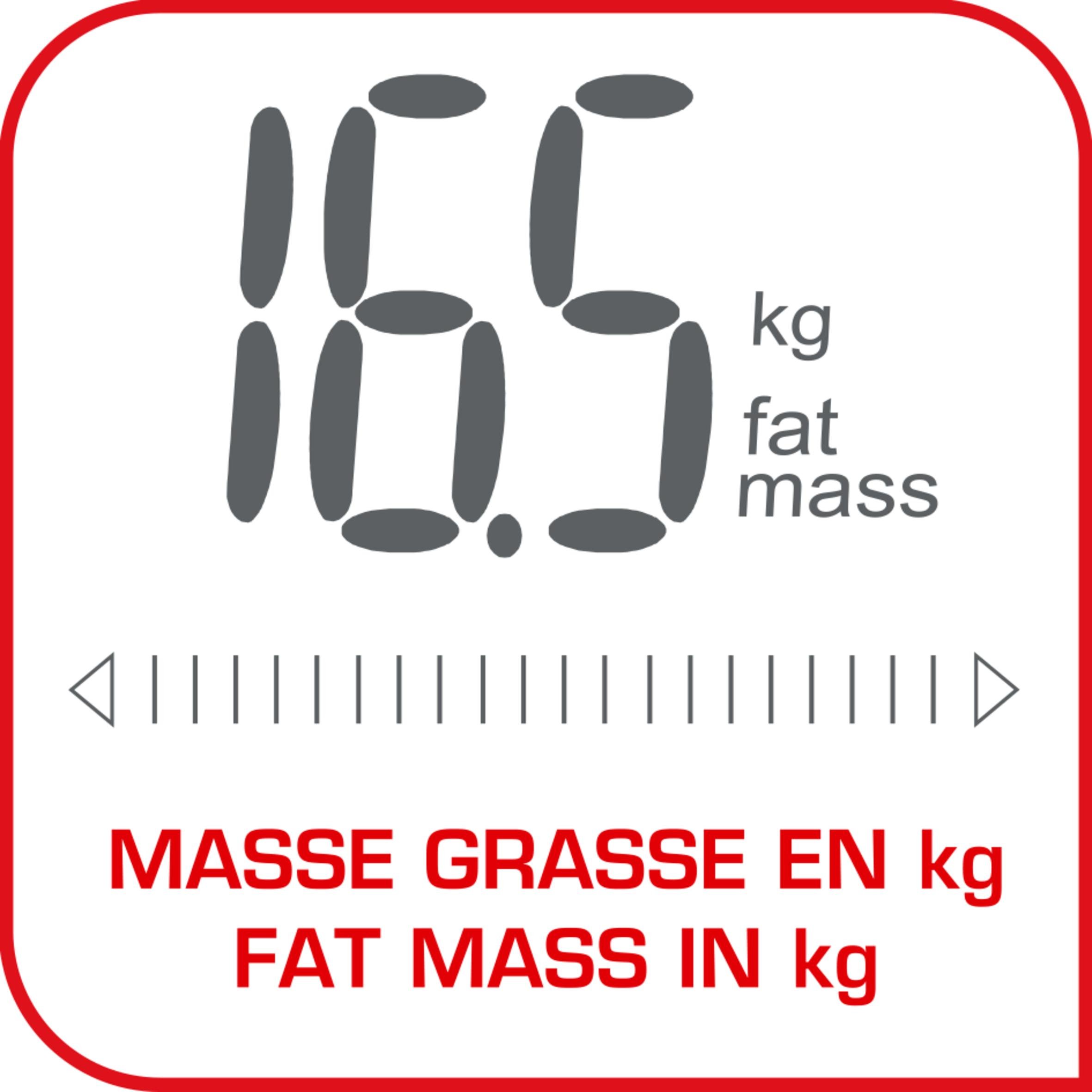 Tefal Bm6010v0 Impédancemètre Bodymaster Argent Capacité Maximale 160 Kg