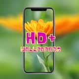 marigold hotel stream Make your Favorite wallpaper list