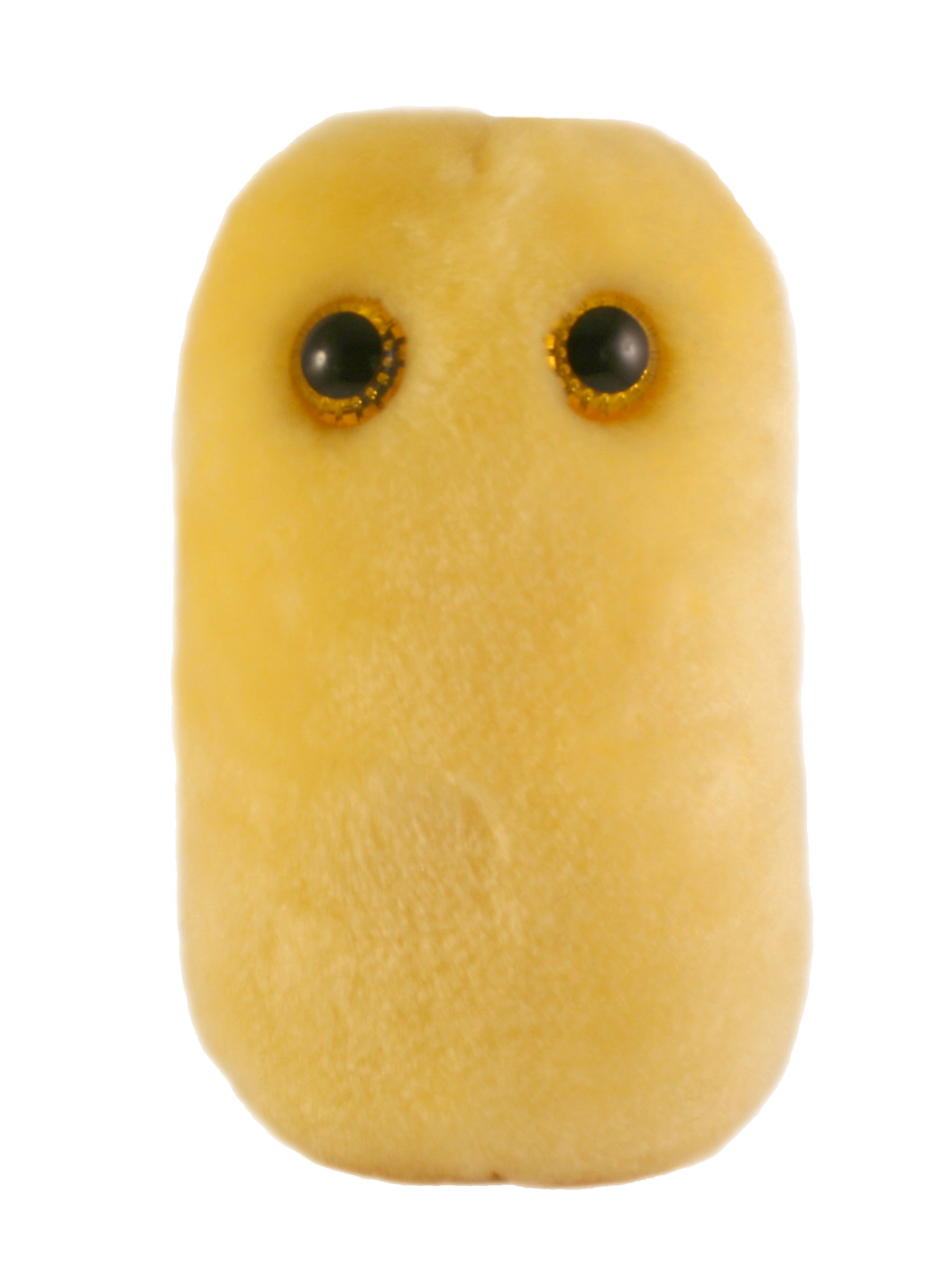 GIANT MICROBES Plüsch-Syphilis – Lustiges Aufklärungs-Plüschtier, Bunt, Einheitsgröße